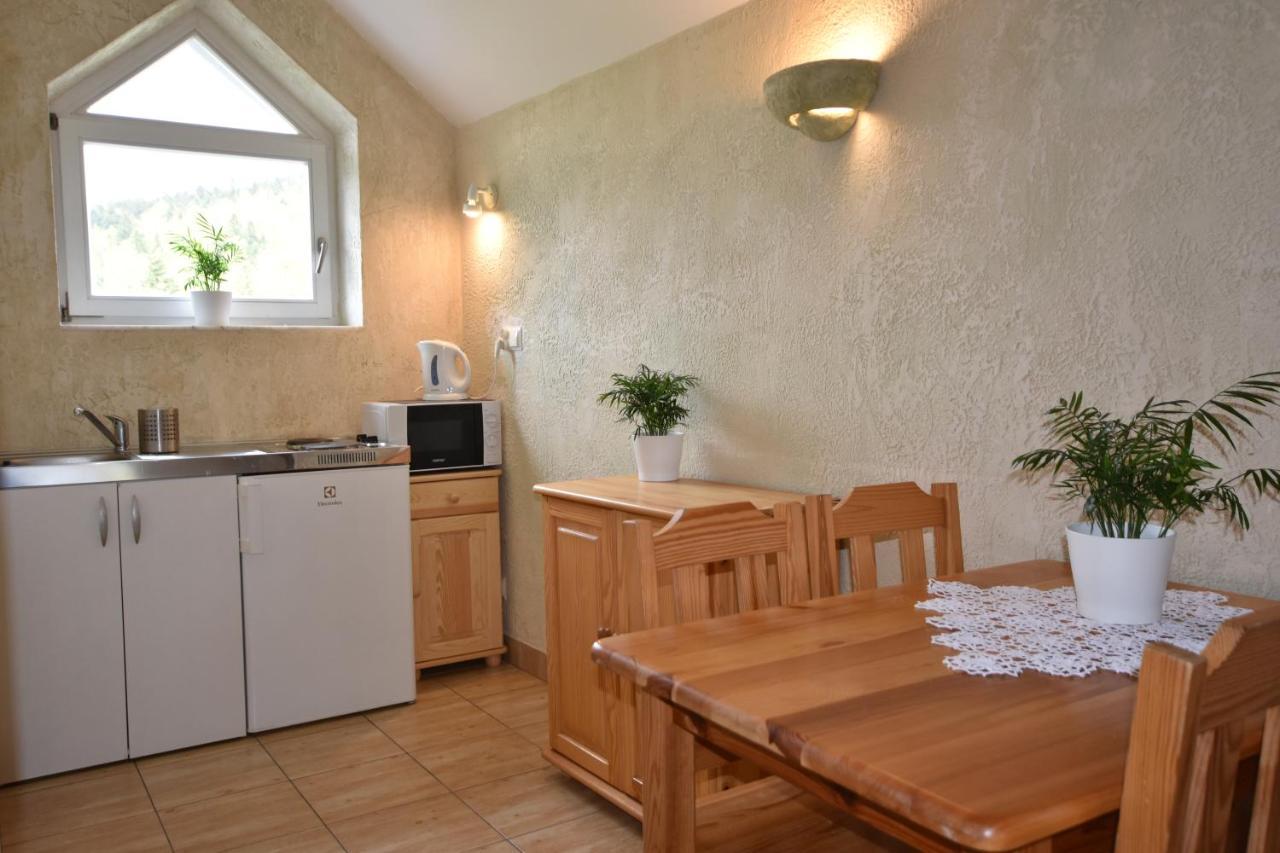 Apartamenty Czyrna Przy Gondoli Щирк Екстериор снимка